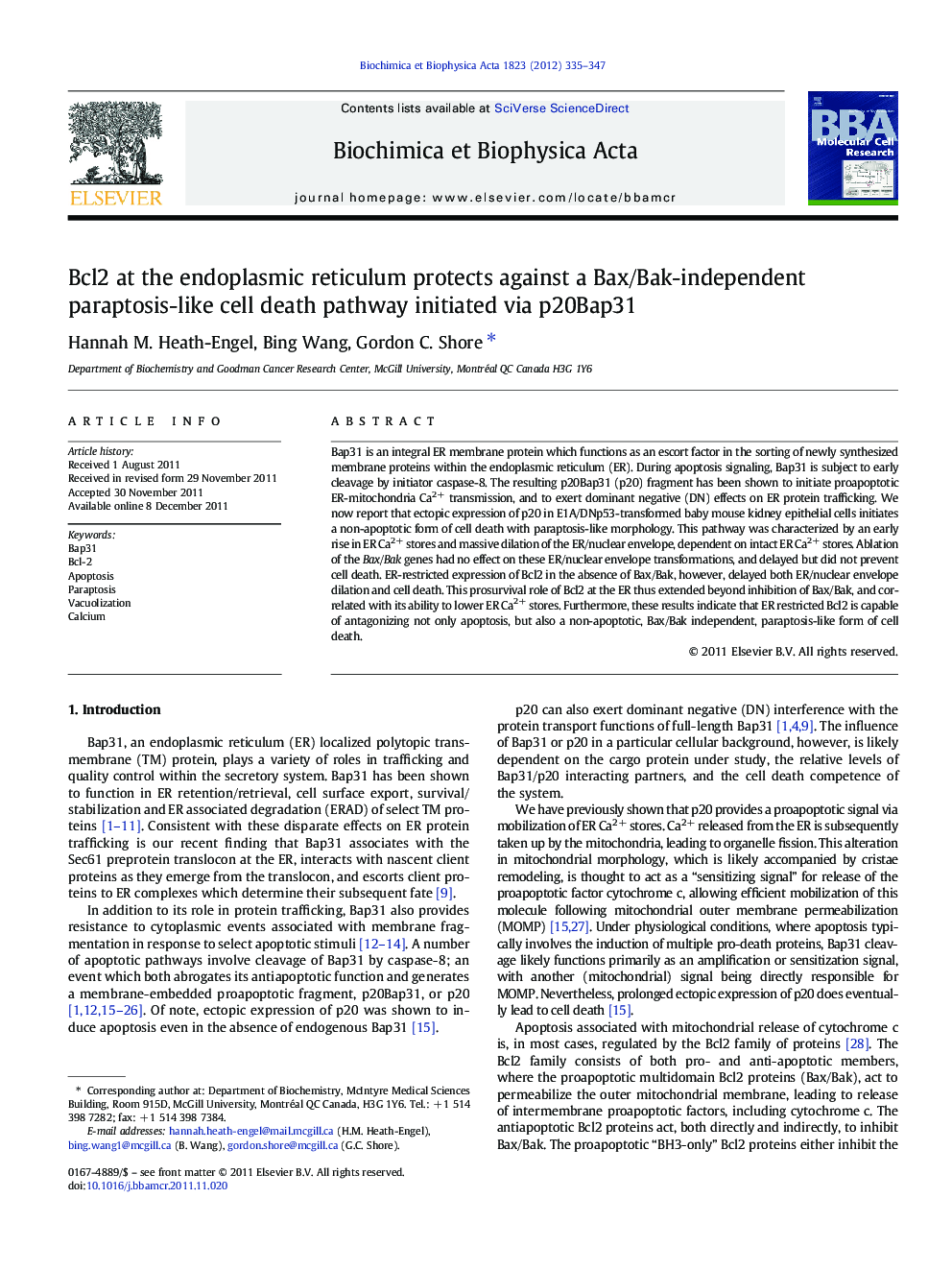 Bcl2 at the endoplasmic reticulum protects against a Bax/Bak-independent paraptosis-like cell death pathway initiated via p20Bap31