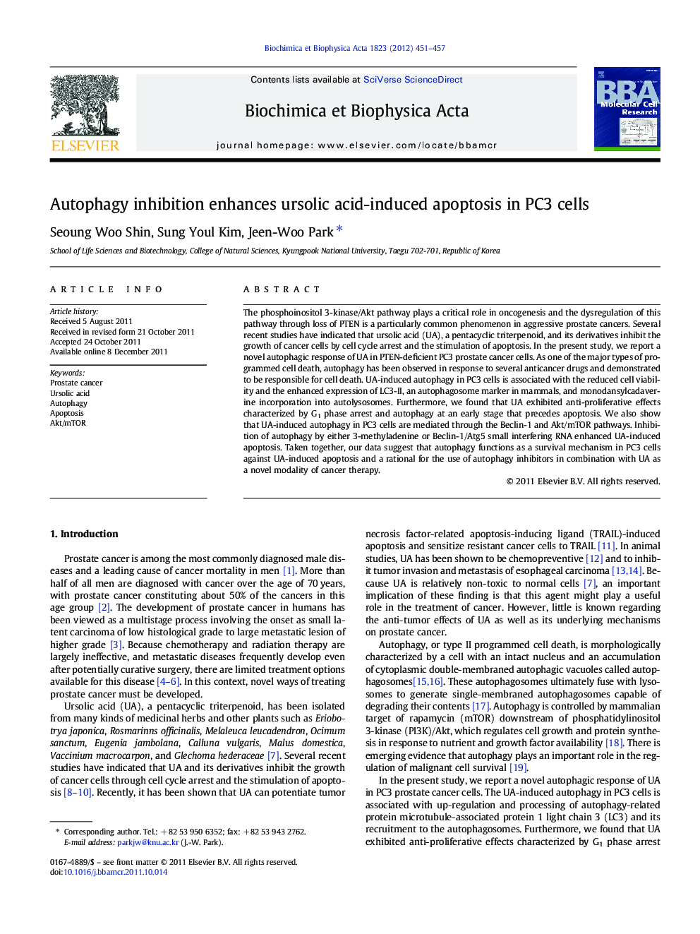 Autophagy inhibition enhances ursolic acid-induced apoptosis in PC3 cells