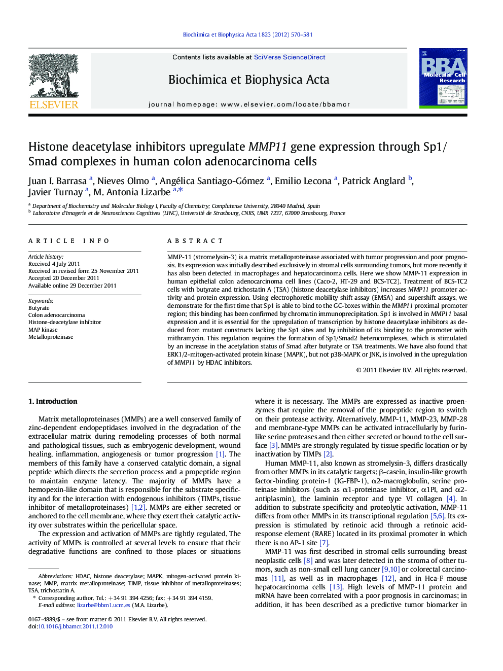 Histone deacetylase inhibitors upregulate MMP11 gene expression through Sp1/Smad complexes in human colon adenocarcinoma cells