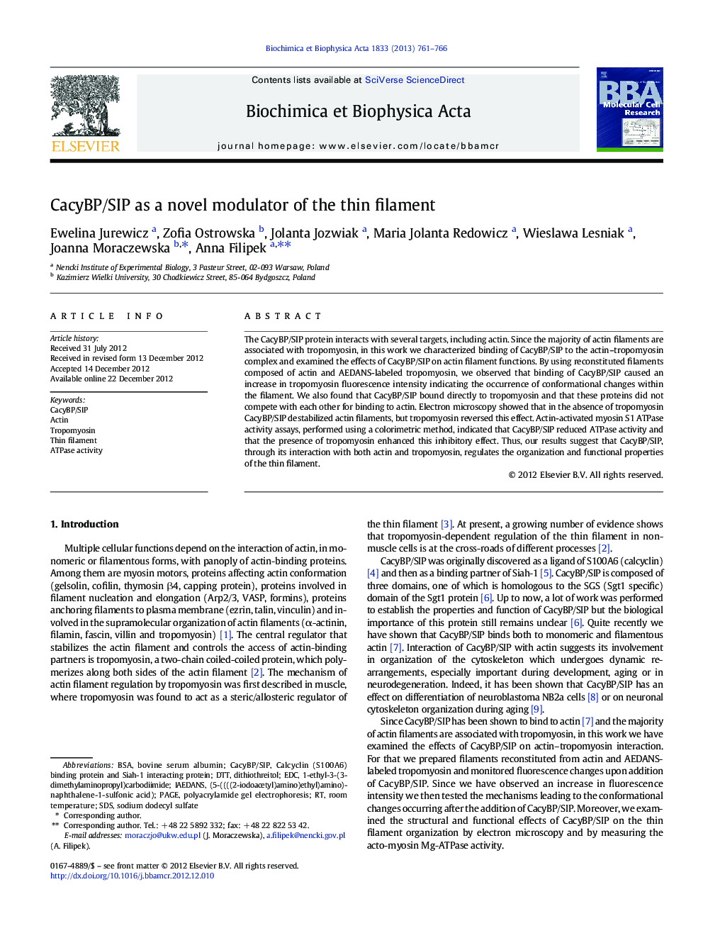 CacyBP/SIP as a novel modulator of the thin filament