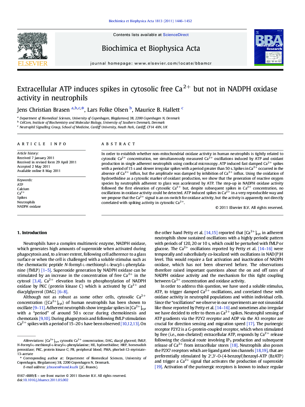 Extracellular ATP induces spikes in cytosolic free Ca2+ but not in NADPH oxidase activity in neutrophils