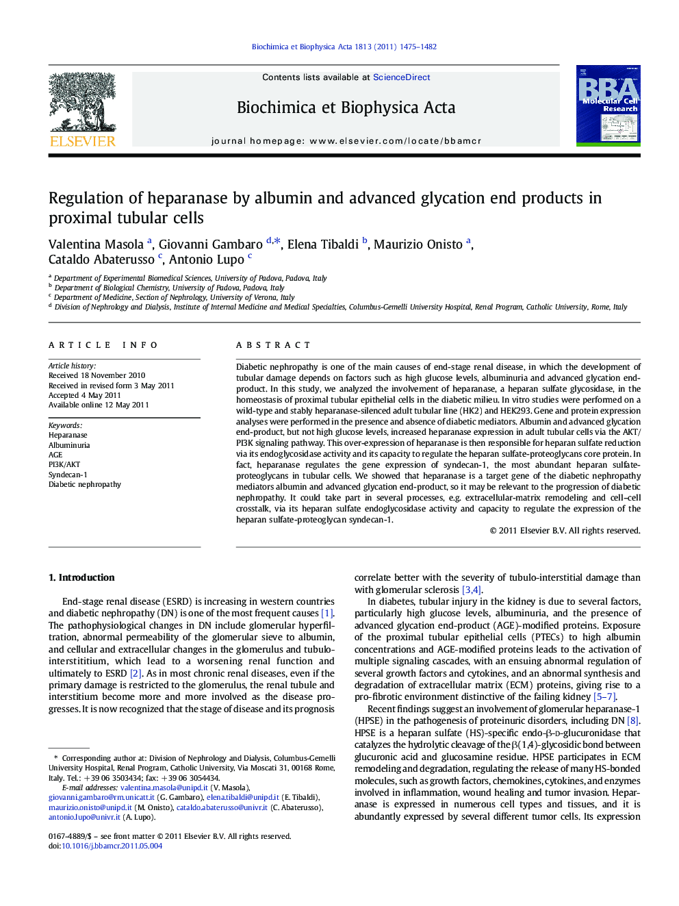 Regulation of heparanase by albumin and advanced glycation end products in proximal tubular cells