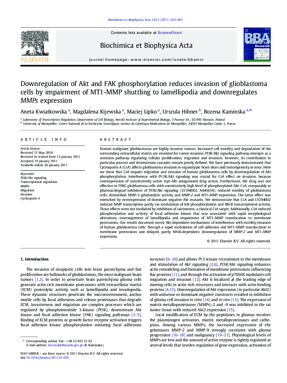 Downregulation of Akt and FAK phosphorylation reduces invasion of glioblastoma cells by impairment of MT1-MMP shuttling to lamellipodia and downregulates MMPs expression