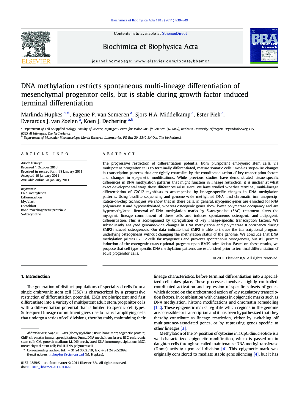 DNA methylation restricts spontaneous multi-lineage differentiation of mesenchymal progenitor cells, but is stable during growth factor-induced terminal differentiation