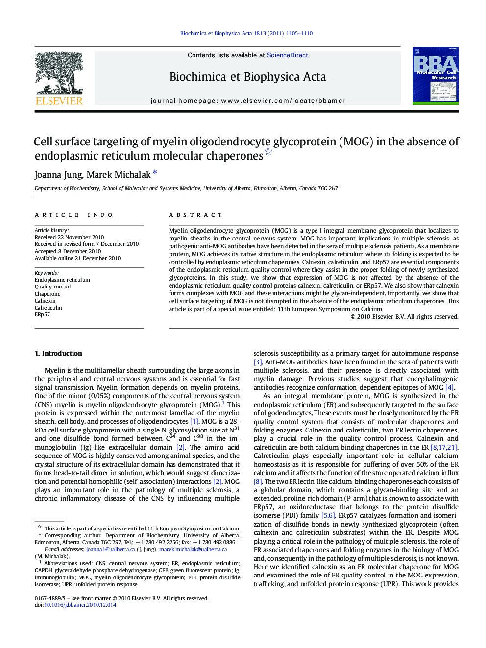 Cell surface targeting of myelin oligodendrocyte glycoprotein (MOG) in the absence of endoplasmic reticulum molecular chaperones