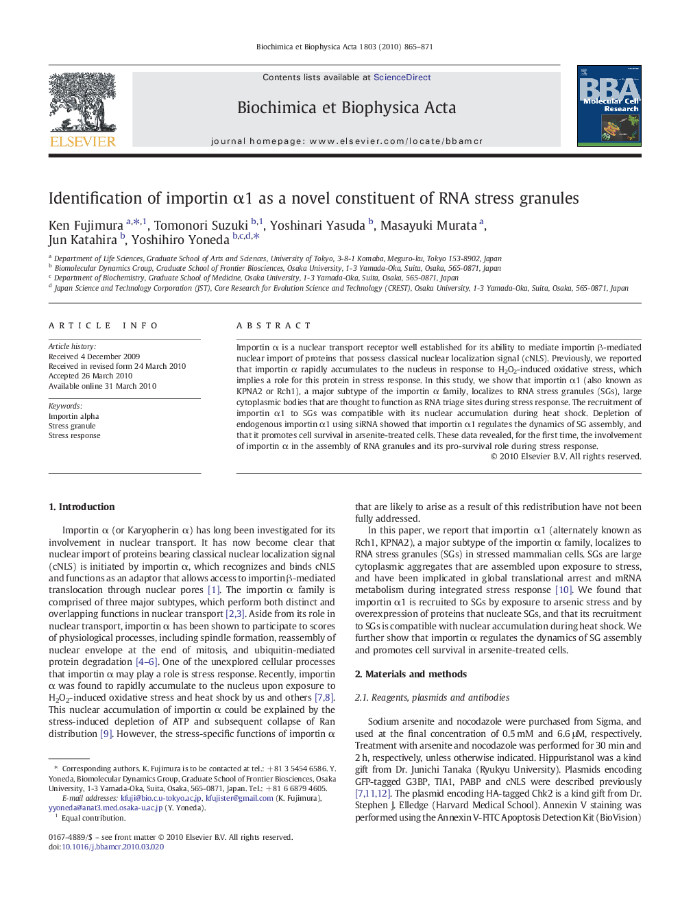 Identification of importin Î±1 as a novel constituent of RNA stress granules