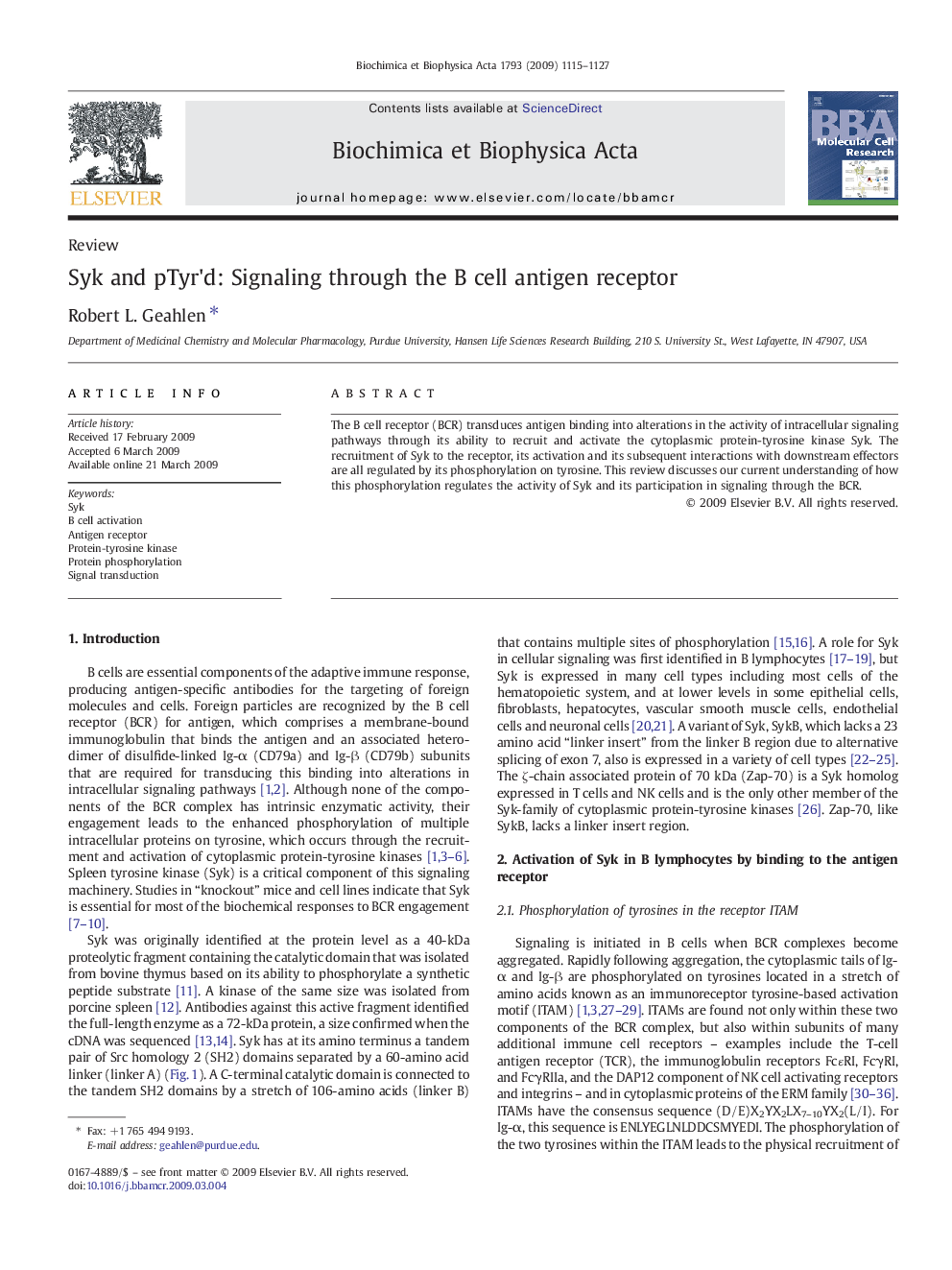 Syk and pTyr'd: Signaling through the B cell antigen receptor