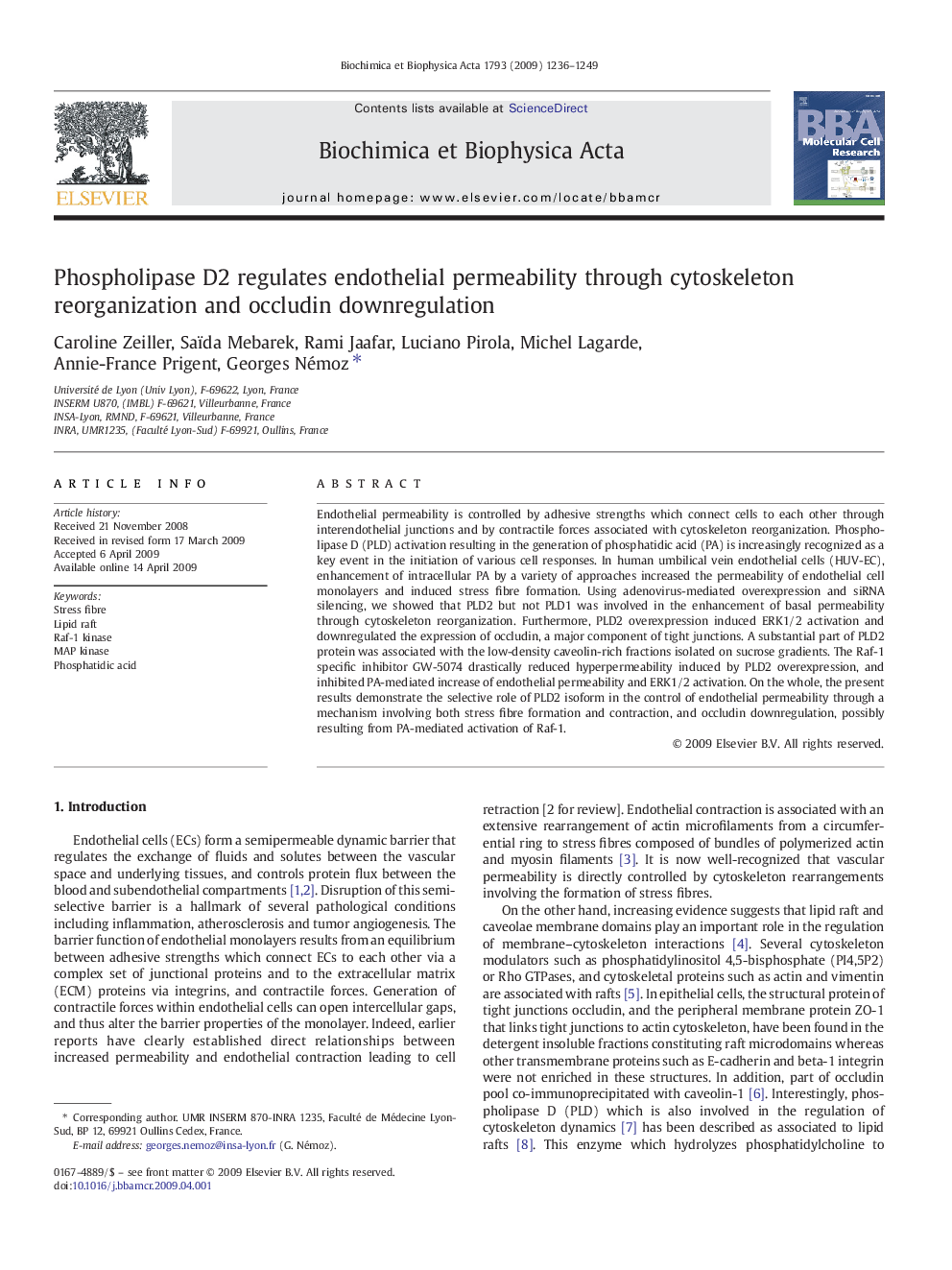 Phospholipase D2 regulates endothelial permeability through cytoskeleton reorganization and occludin downregulation