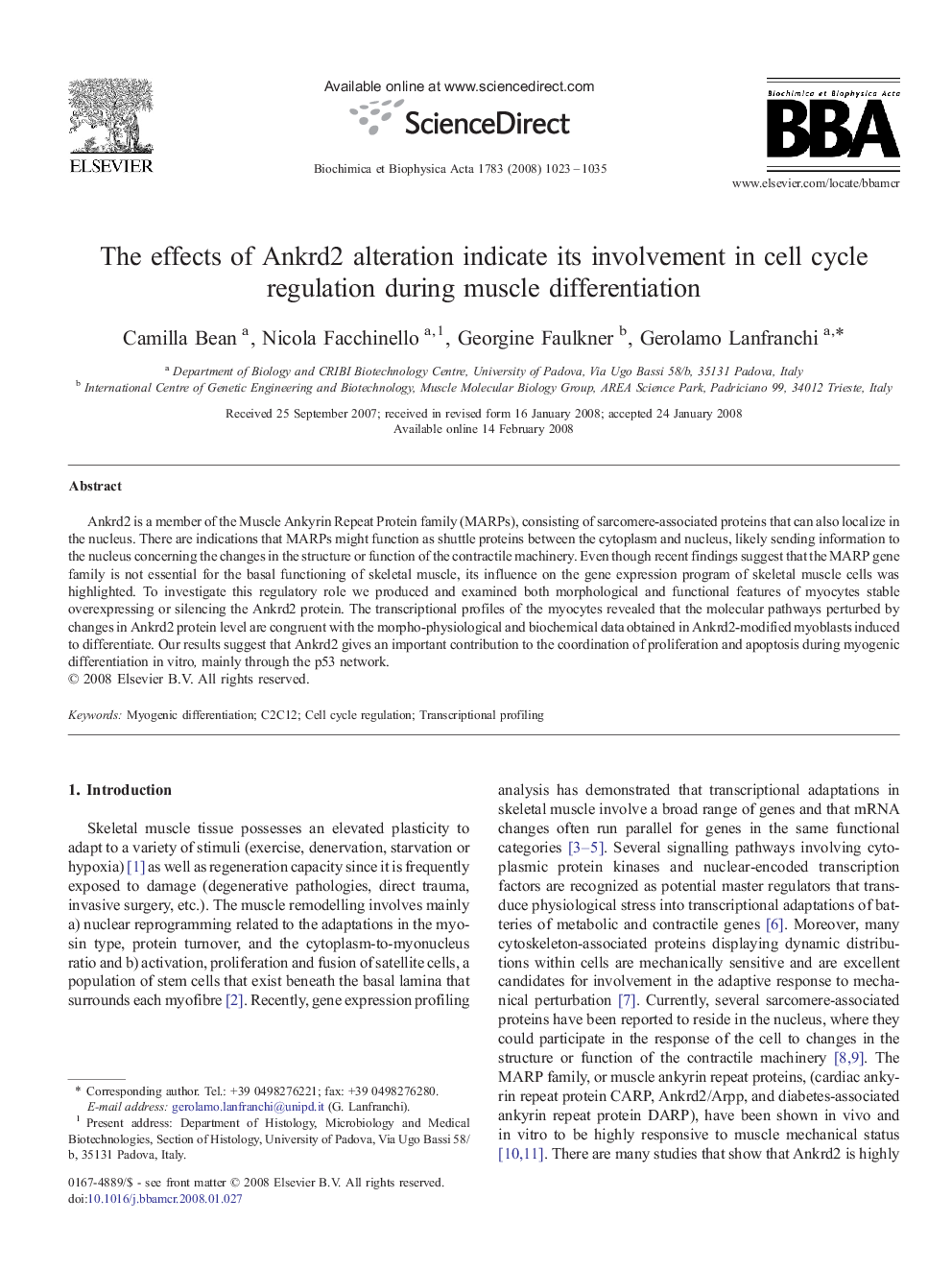 The effects of Ankrd2 alteration indicate its involvement in cell cycle regulation during muscle differentiation