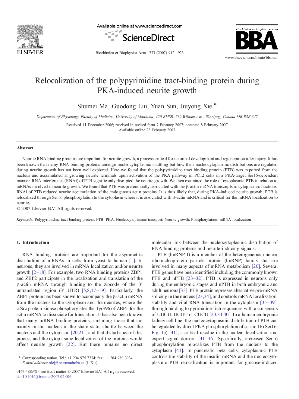 Relocalization of the polypyrimidine tract-binding protein during PKA-induced neurite growth