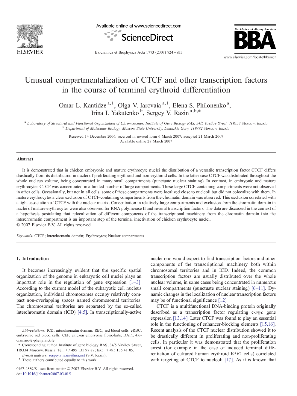 Unusual compartmentalization of CTCF and other transcription factors in the course of terminal erythroid differentiation