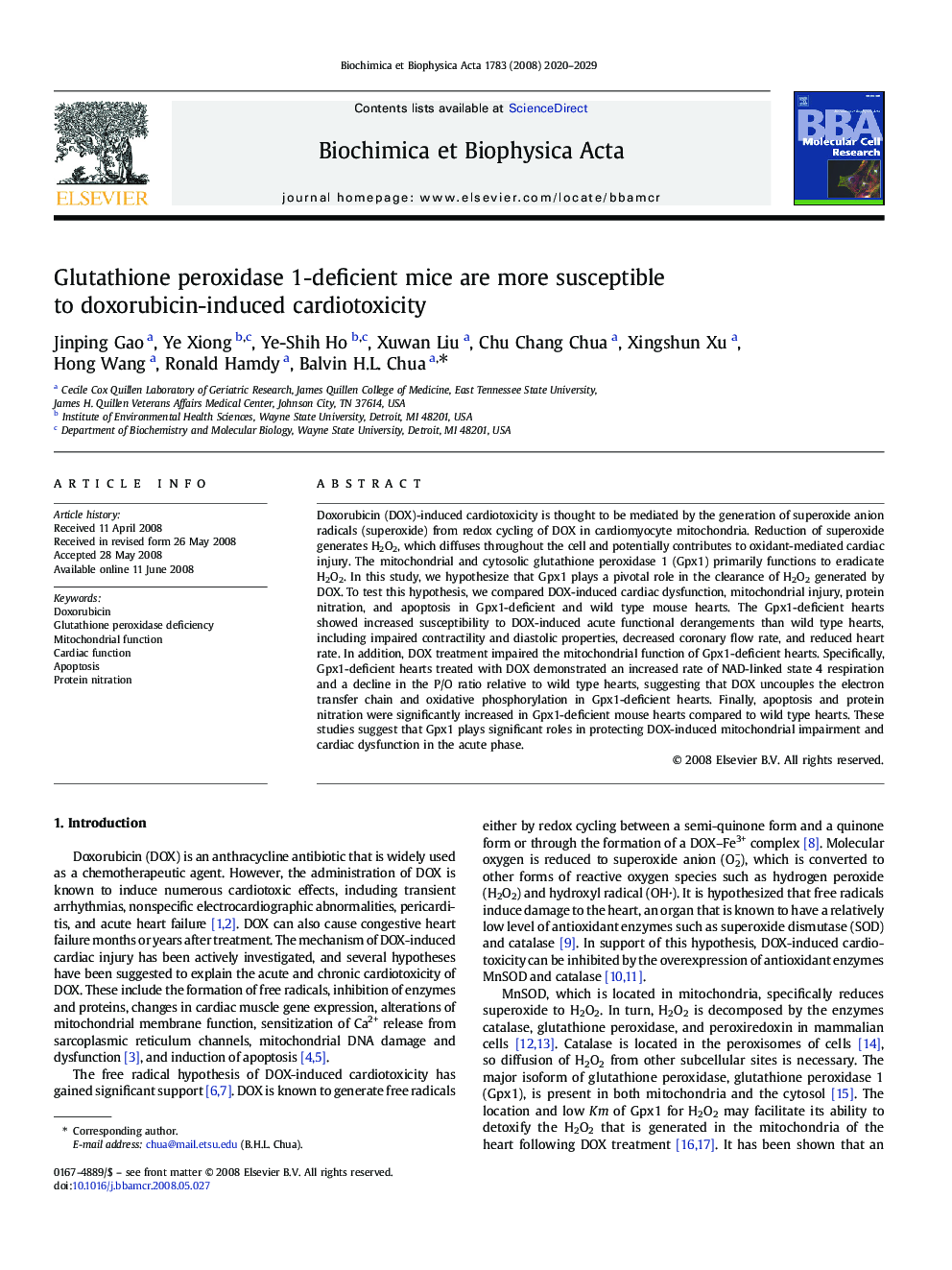 Glutathione peroxidase 1-deficient mice are more susceptible to doxorubicin-induced cardiotoxicity