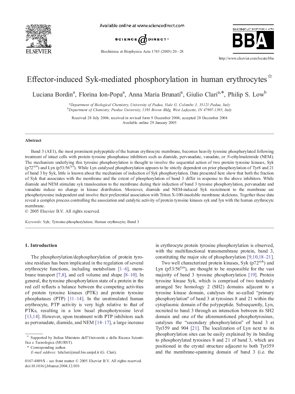 Effector-induced Syk-mediated phosphorylation in human erythrocytes