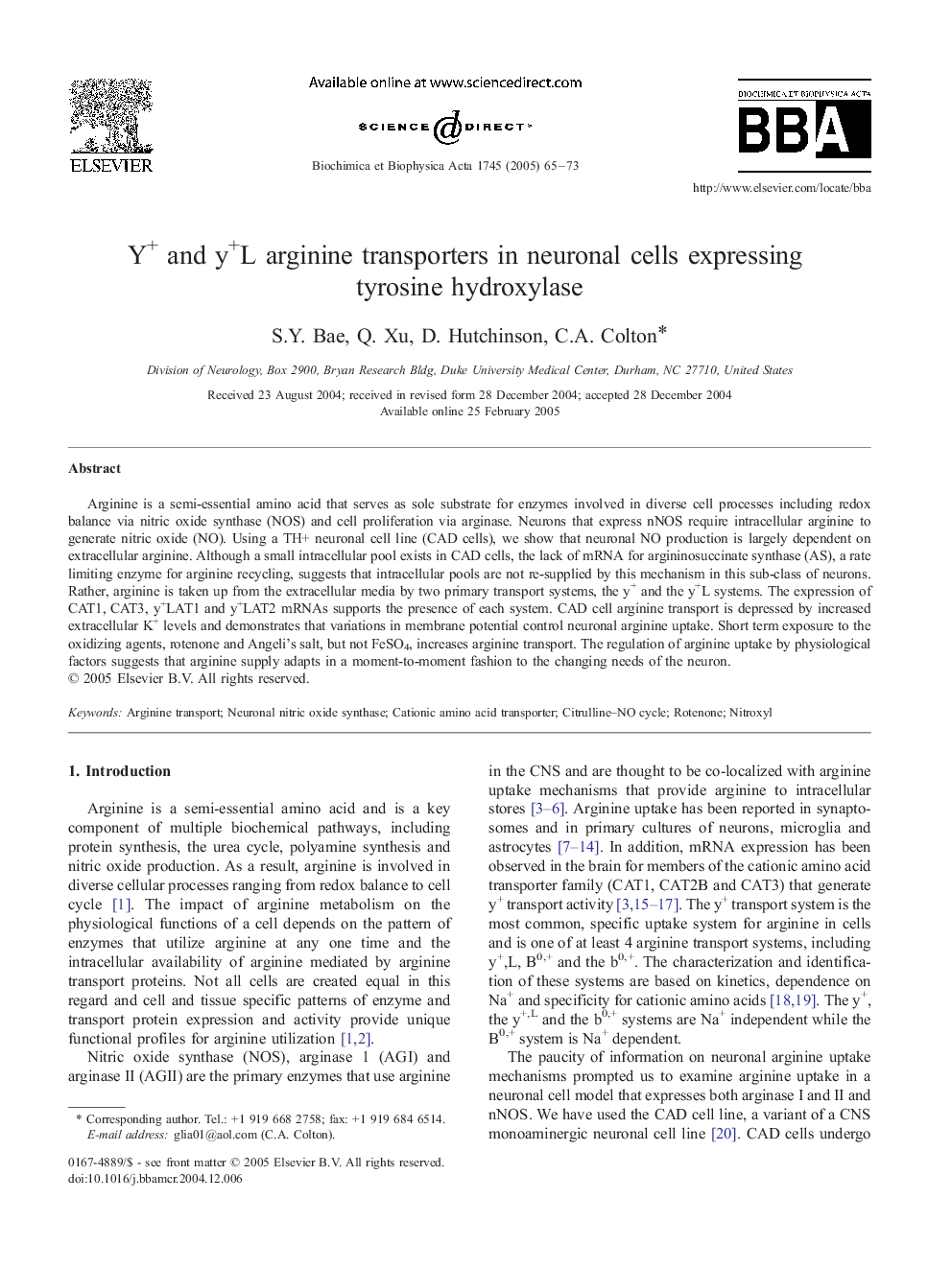 Y+ and y+L arginine transporters in neuronal cells expressing tyrosine hydroxylase