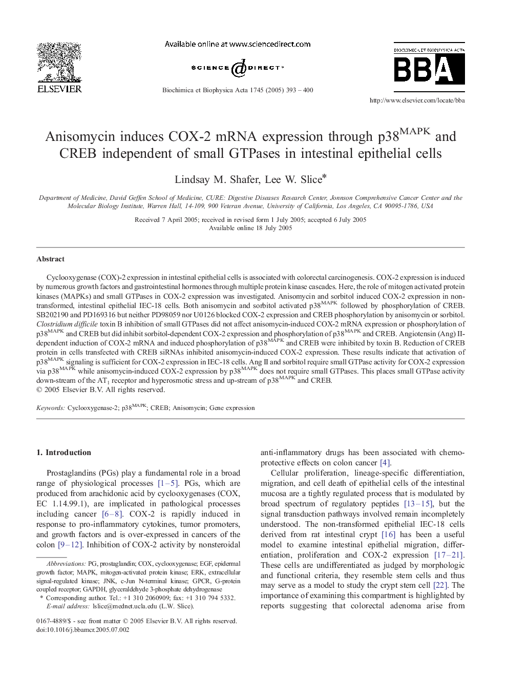 Anisomycin induces COX-2 mRNA expression through p38MAPK and CREB independent of small GTPases in intestinal epithelial cells