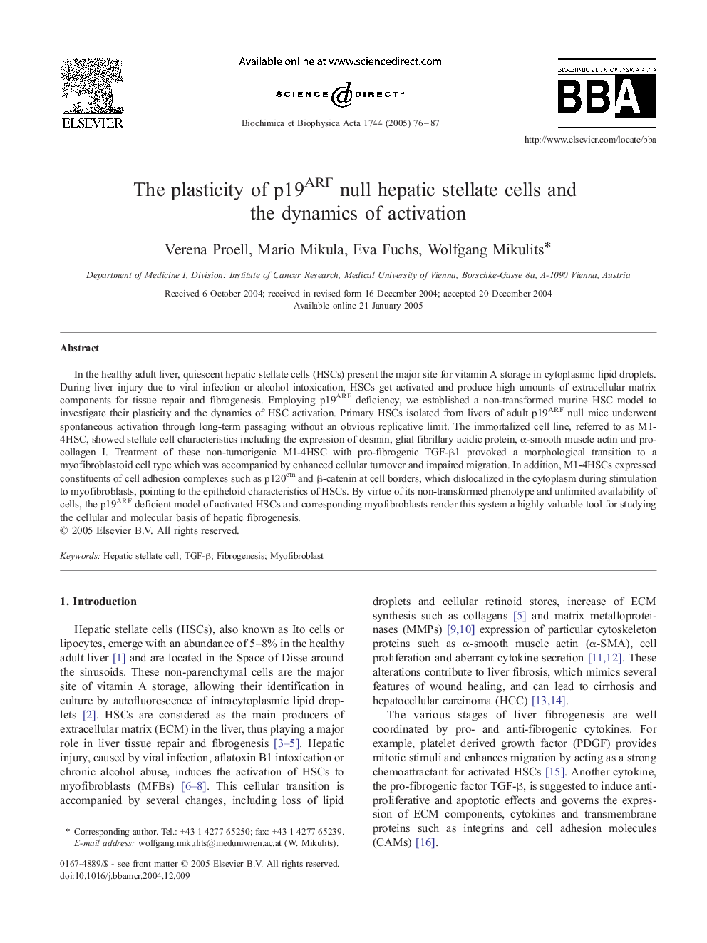 The plasticity of p19ARF null hepatic stellate cells and the dynamics of activation