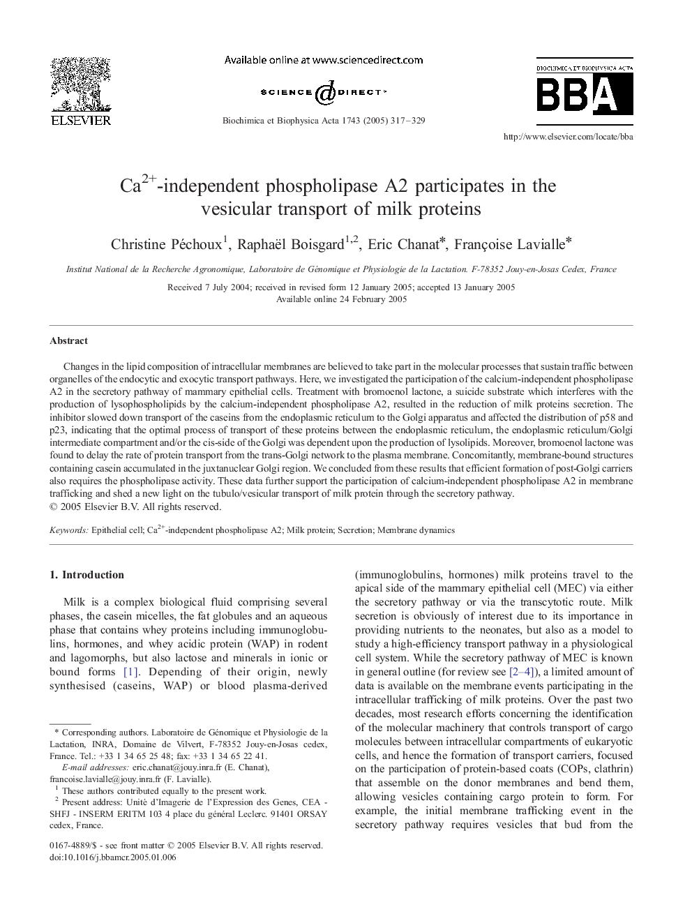 Ca2+-independent phospholipase A2 participates in the vesicular transport of milk proteins