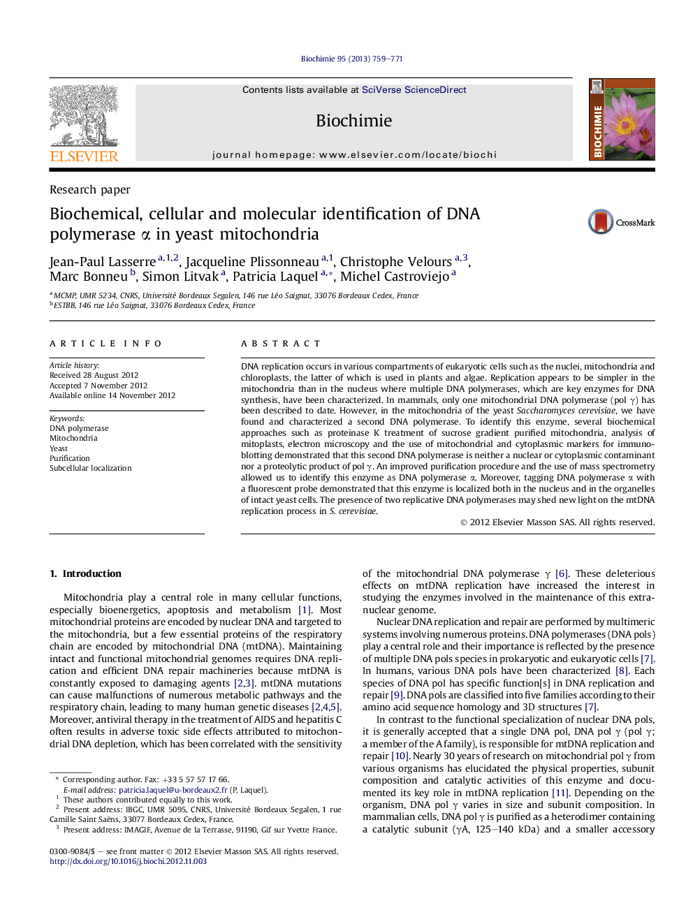 Biochemical, cellular and molecular identification of DNA polymerase Î± in yeast mitochondria