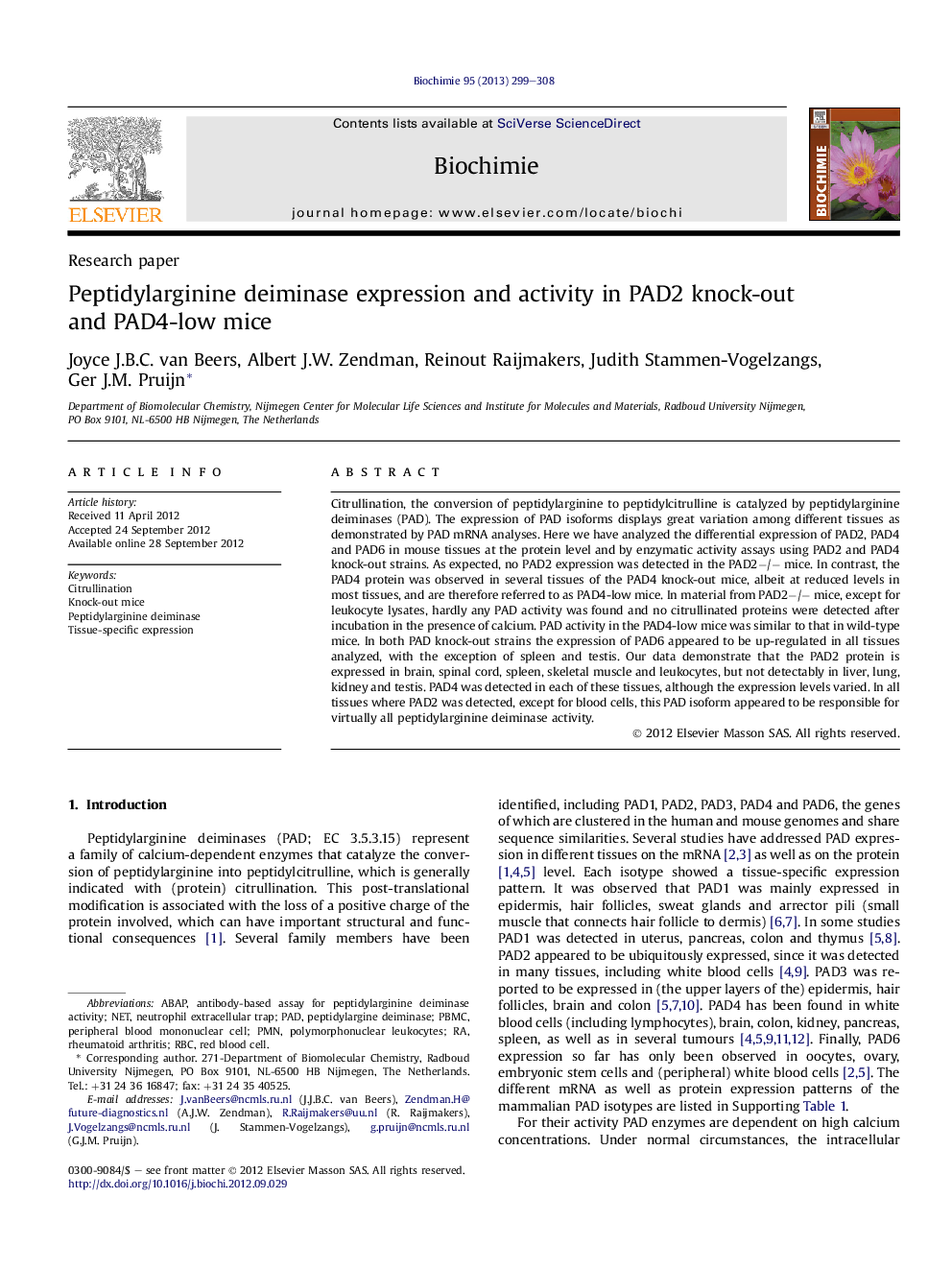 Peptidylarginine deiminase expression and activity in PAD2 knock-out and PAD4-low mice