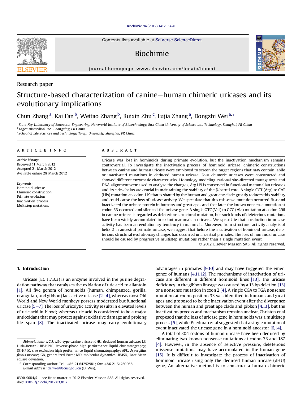 Structure-based characterization of canine-human chimeric uricases and its evolutionary implications