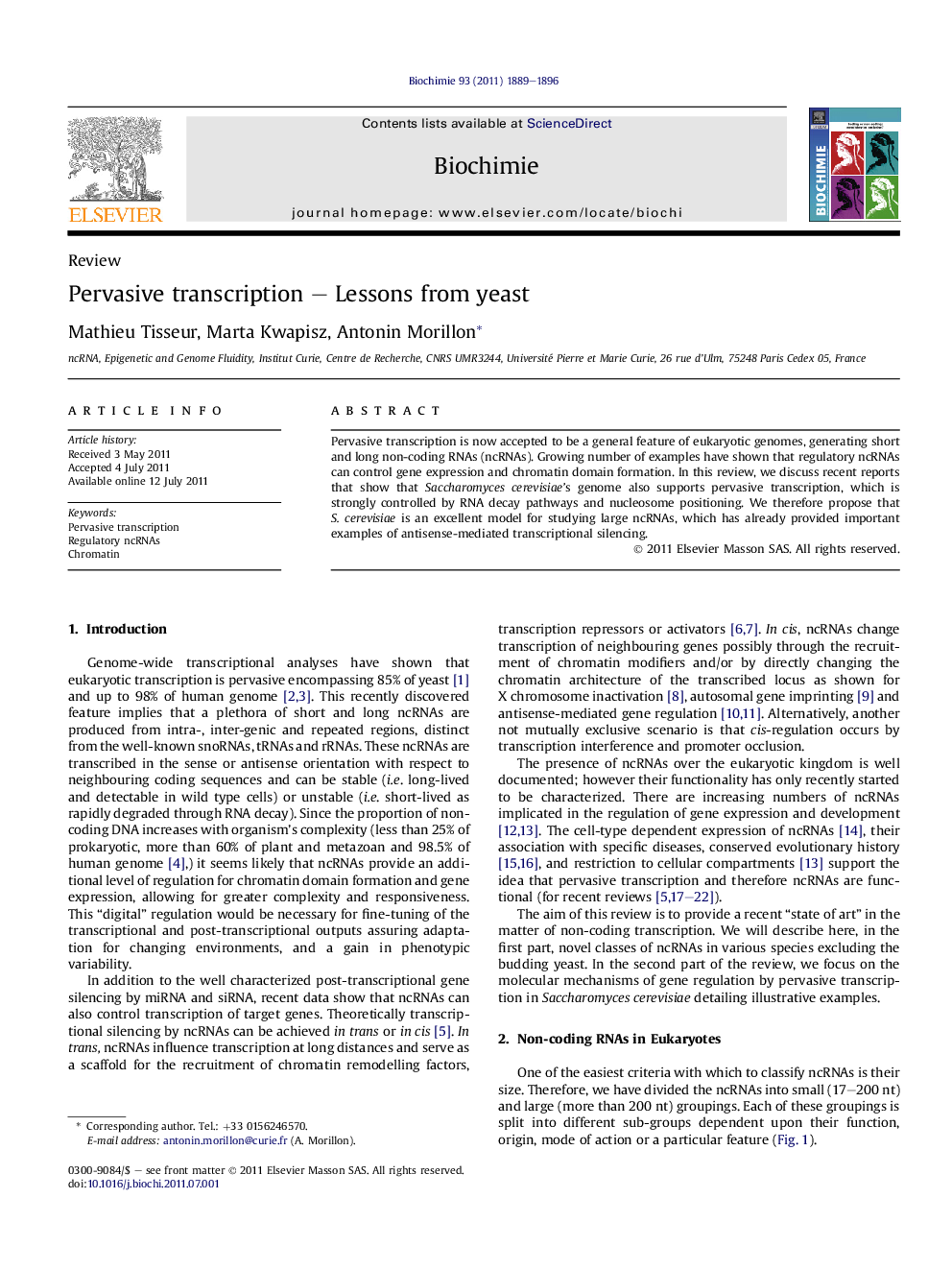 Pervasive transcription - Lessons from yeast