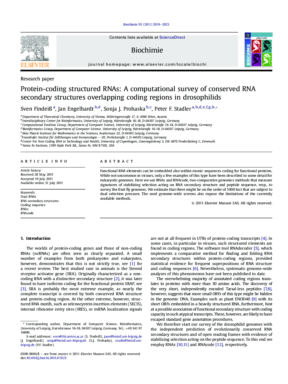 Protein-coding structured RNAs: A computational survey of conserved RNA secondary structures overlapping coding regions in drosophilids