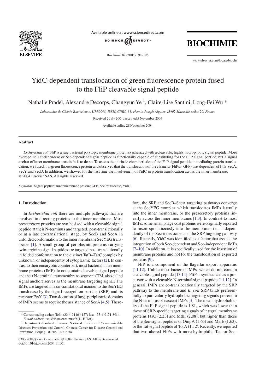 YidC-dependent translocation of green fluorescence protein fused to the FliP cleavable signal peptide