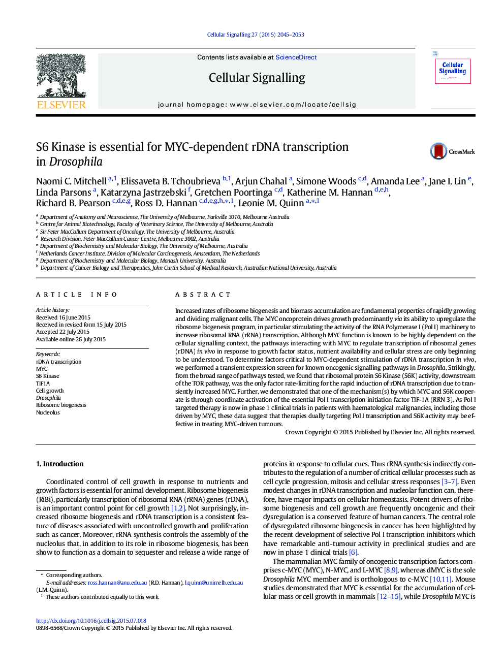 S6 Kinase is essential for MYC-dependent rDNA transcription in Drosophila