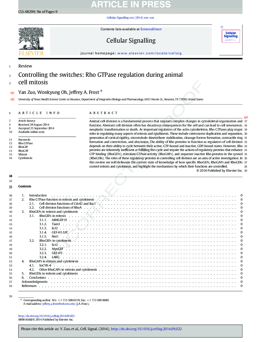 Controlling the switches: Rho GTPase regulation during animal cell mitosis