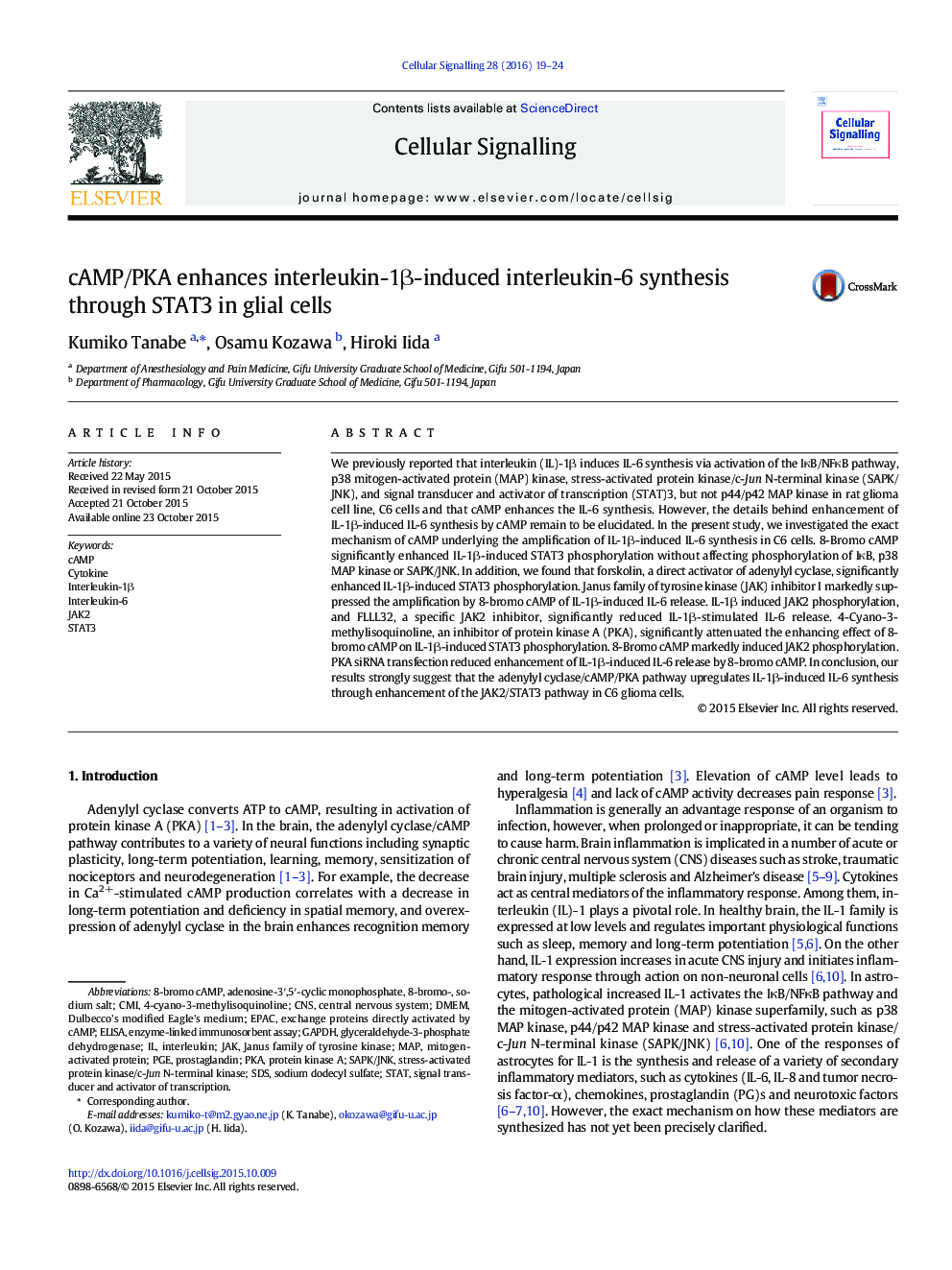 cAMP/PKA enhances interleukin-1Î²-induced interleukin-6 synthesis through STAT3 in glial cells