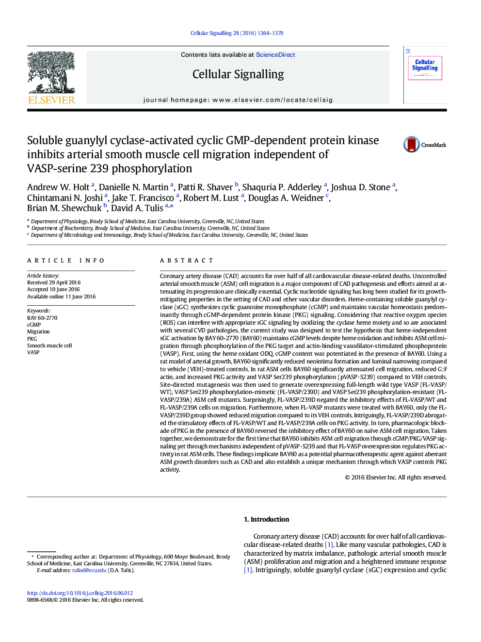 Soluble guanylyl cyclase-activated cyclic GMP-dependent protein kinase inhibits arterial smooth muscle cell migration independent of VASP-serine 239 phosphorylation