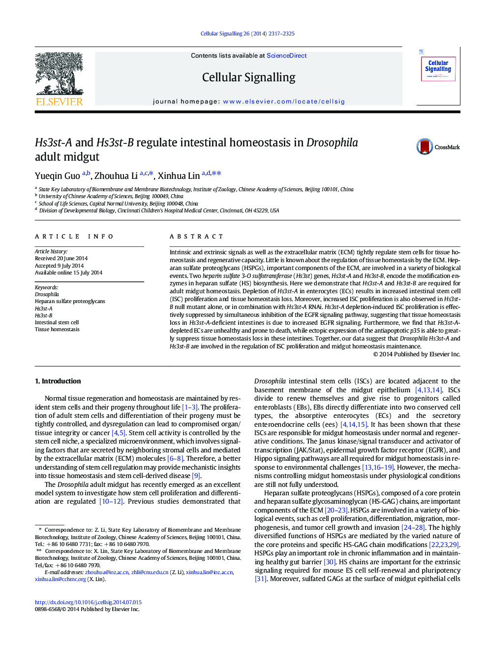 Hs3st-A and Hs3st-B regulate intestinal homeostasis in Drosophila adult midgut