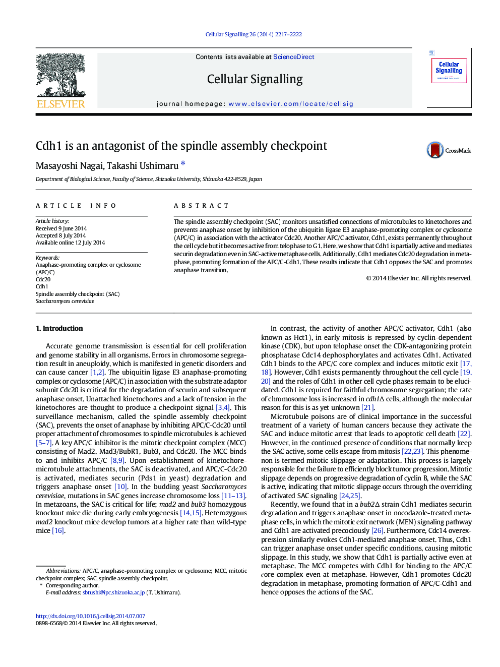 Cdh1 is an antagonist of the spindle assembly checkpoint