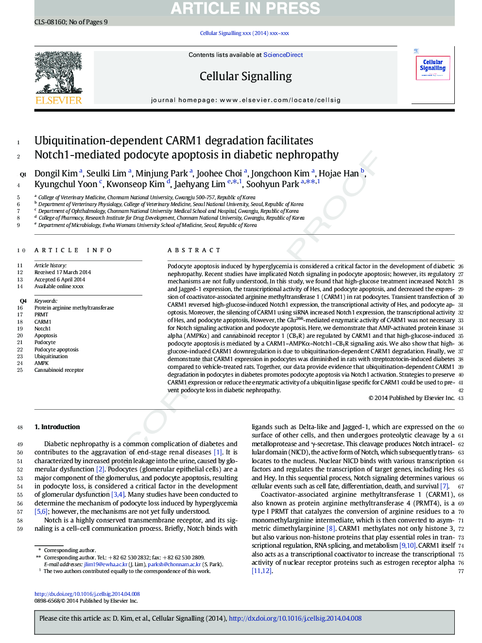 Ubiquitination-dependent CARM1 degradation facilitates Notch1-mediated podocyte apoptosis in diabetic nephropathy