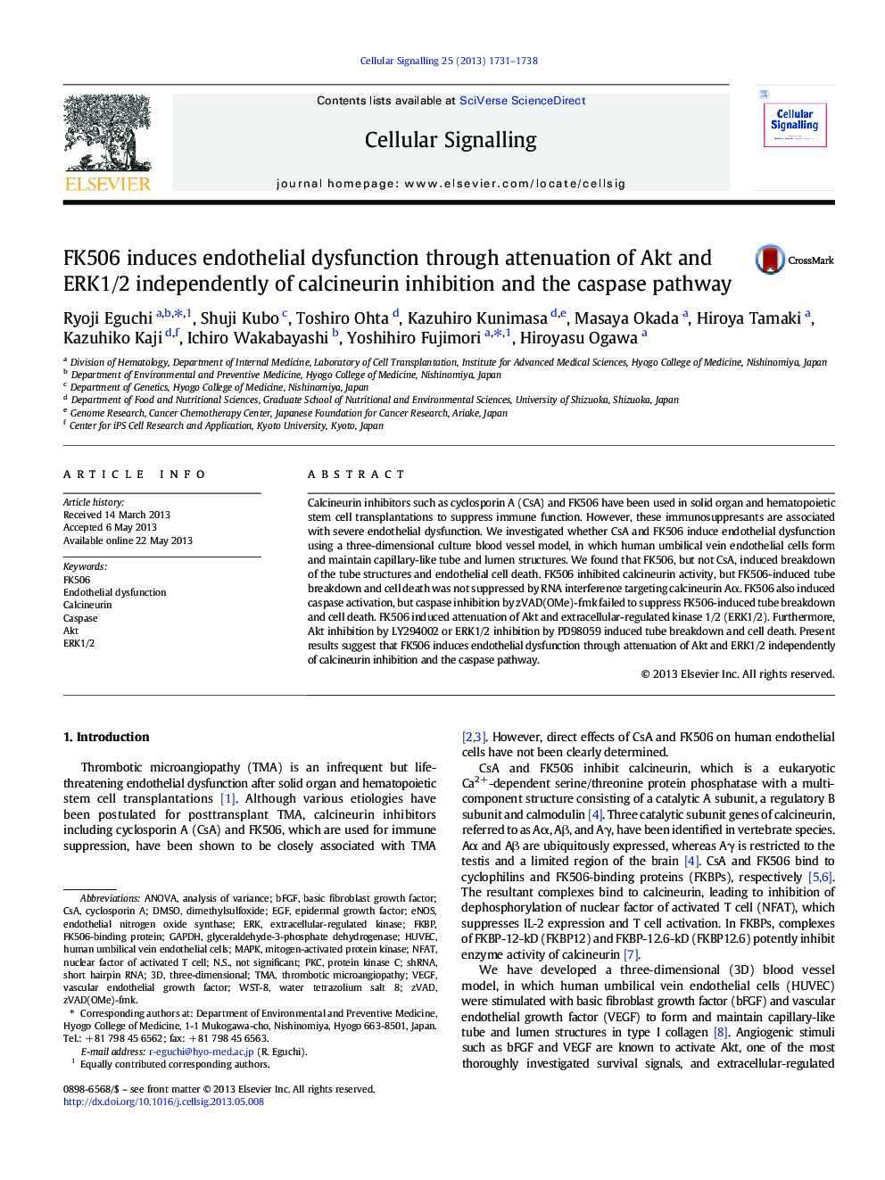 FK506 induces endothelial dysfunction through attenuation of Akt and ERK1/2 independently of calcineurin inhibition and the caspase pathway