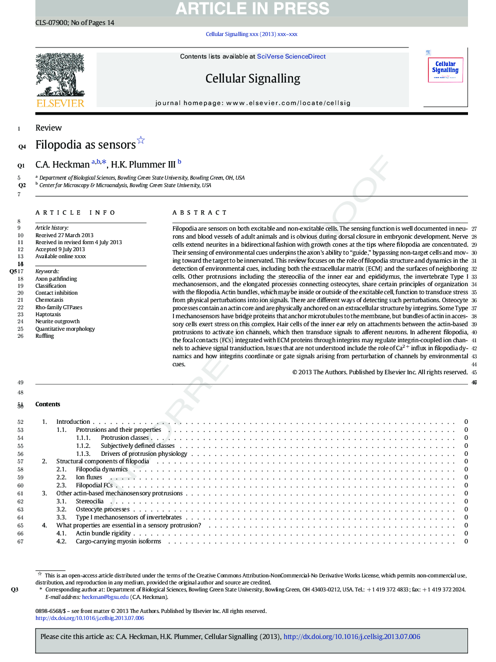 Filopodia as sensors