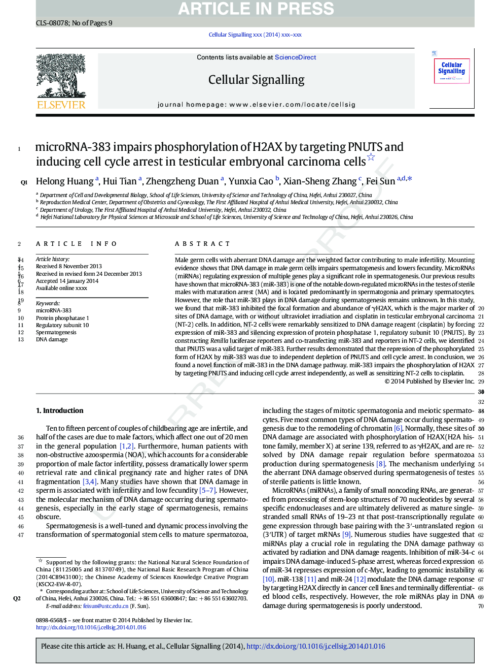 microRNA-383 impairs phosphorylation of H2AX by targeting PNUTS and inducing cell cycle arrest in testicular embryonal carcinoma cells