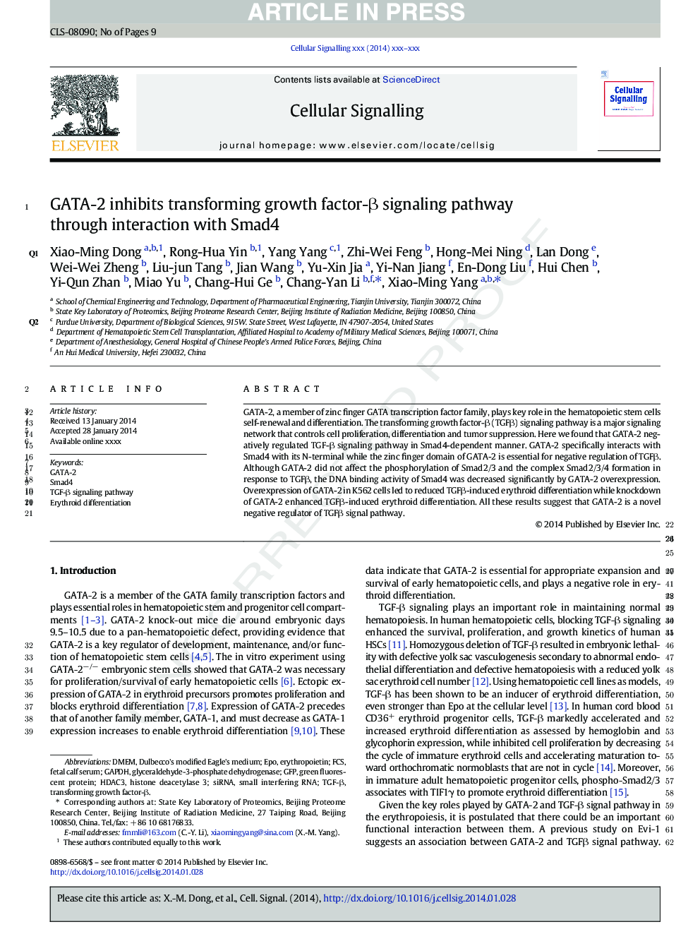 GATA-2 inhibits transforming growth factor-Î² signaling pathway through interaction with Smad4