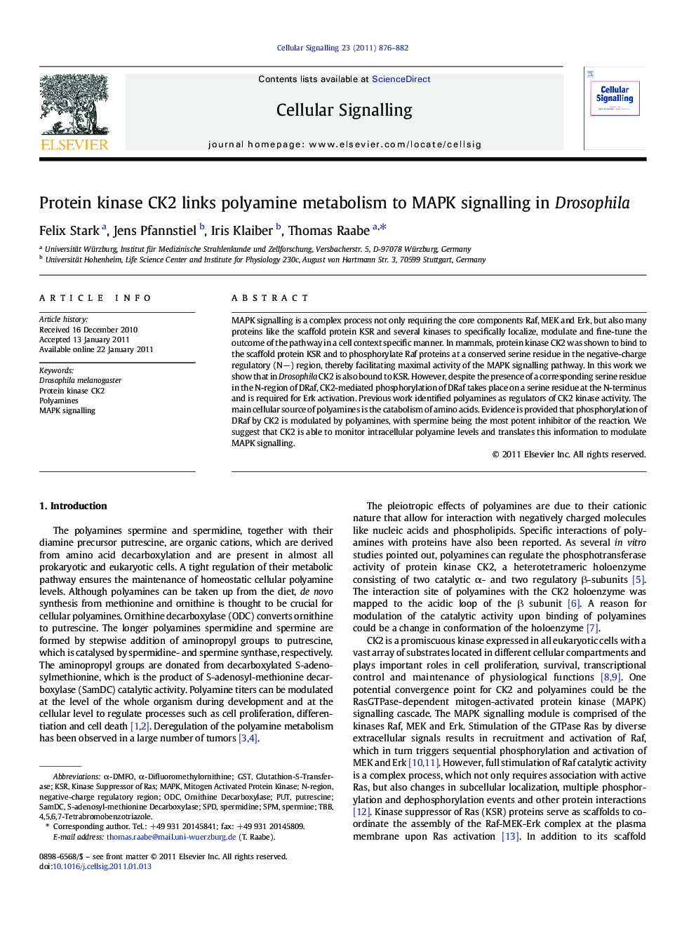 Protein kinase CK2 links polyamine metabolism to MAPK signalling in Drosophila