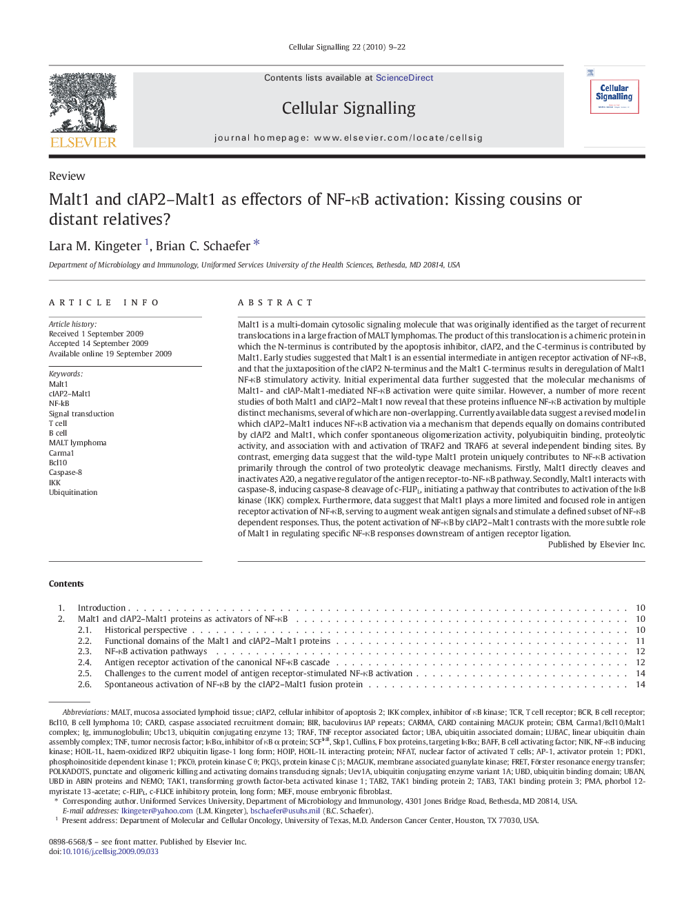 Malt1 and cIAP2-Malt1 as effectors of NF-ÎºB activation: Kissing cousins or distant relatives?