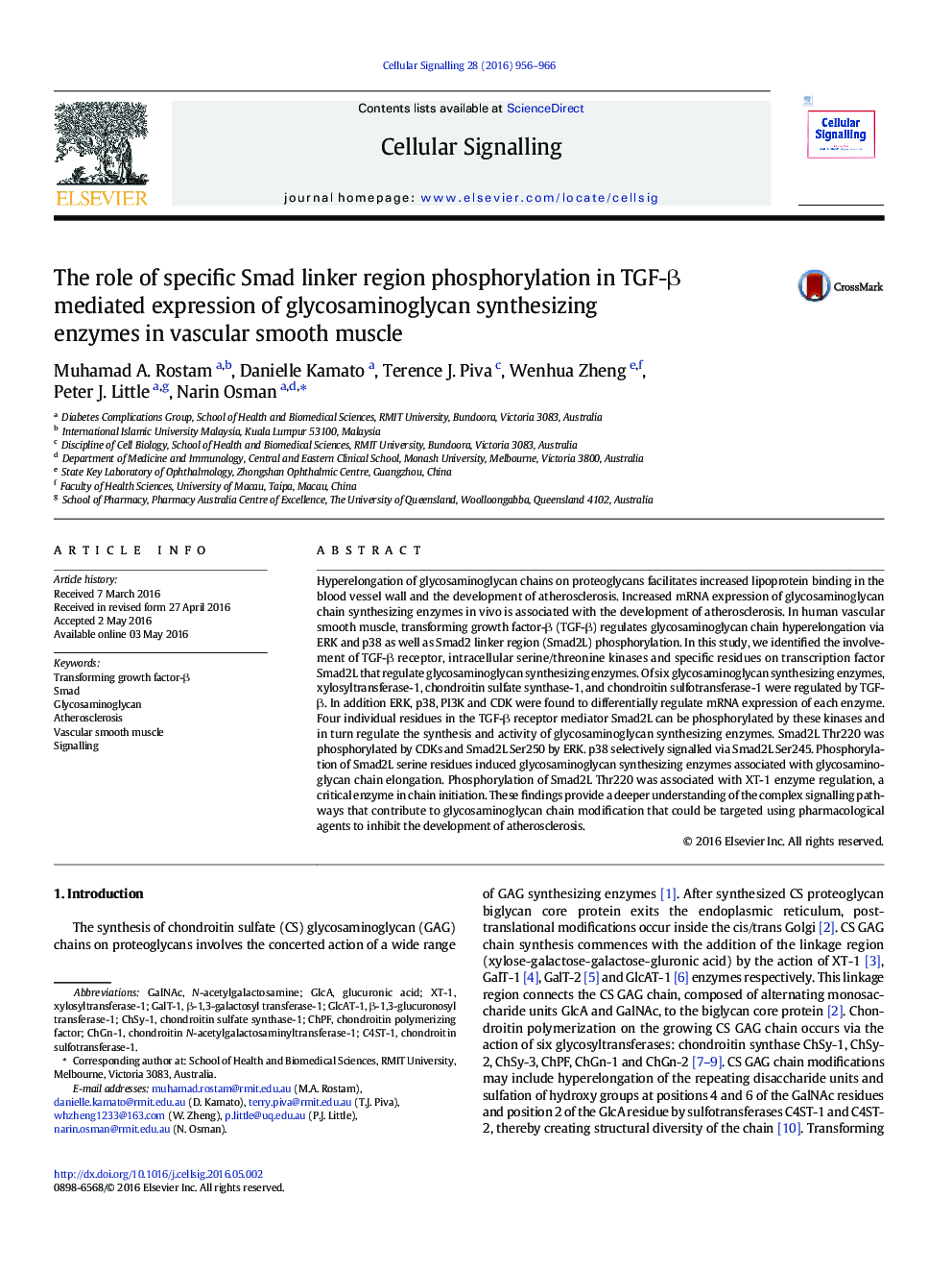 The role of specific Smad linker region phosphorylation in TGF-Î² mediated expression of glycosaminoglycan synthesizing enzymes in vascular smooth muscle