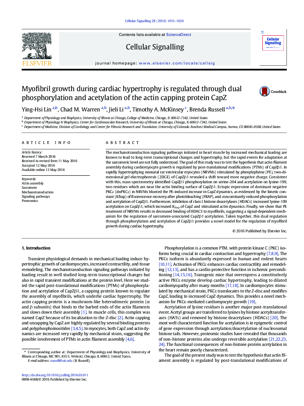 Myofibril growth during cardiac hypertrophy is regulated through dual phosphorylation and acetylation of the actin capping protein CapZ