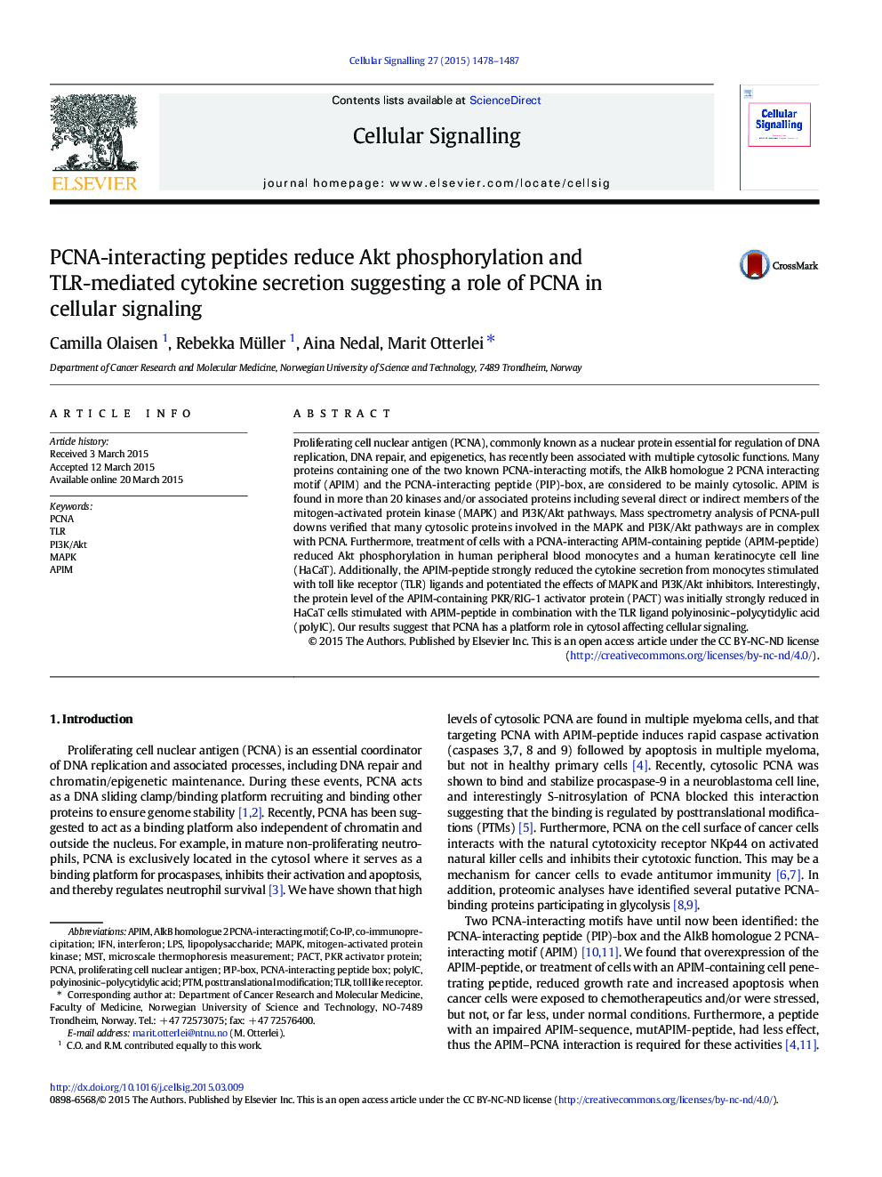 PCNA-interacting peptides reduce Akt phosphorylation and TLR-mediated cytokine secretion suggesting a role of PCNA in cellular signaling