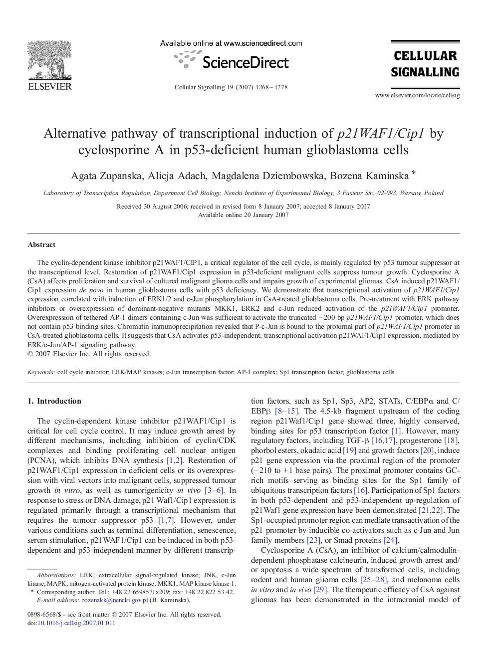 Alternative pathway of transcriptional induction of p21WAF1/Cip1 by cyclosporine A in p53-deficient human glioblastoma cells