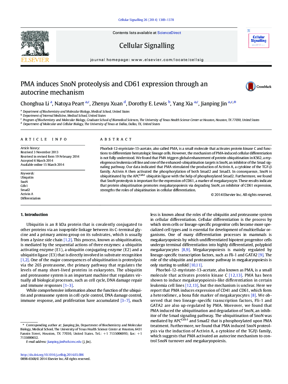 PMA induces SnoN proteolysis and CD61 expression through an autocrine mechanism