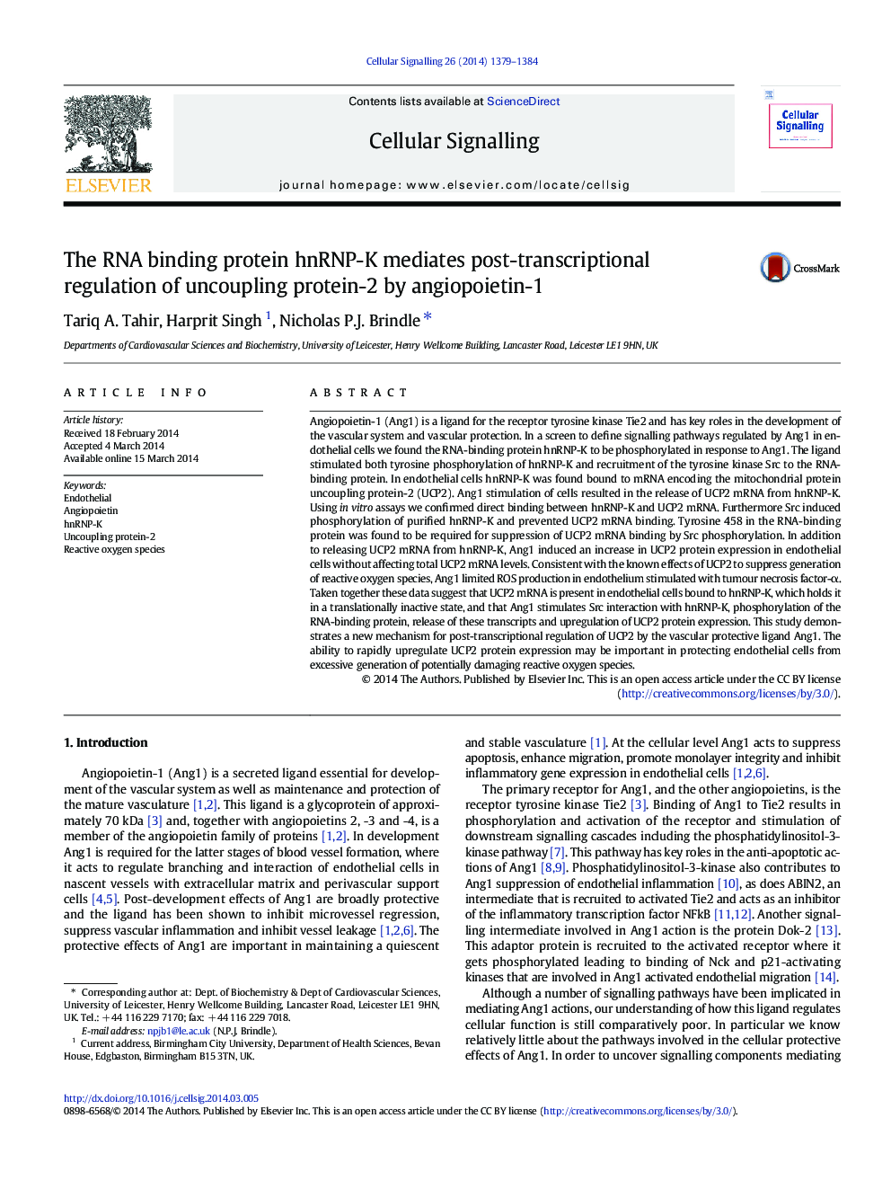 The RNA binding protein hnRNP-K mediates post-transcriptional regulation of uncoupling protein-2 by angiopoietin-1