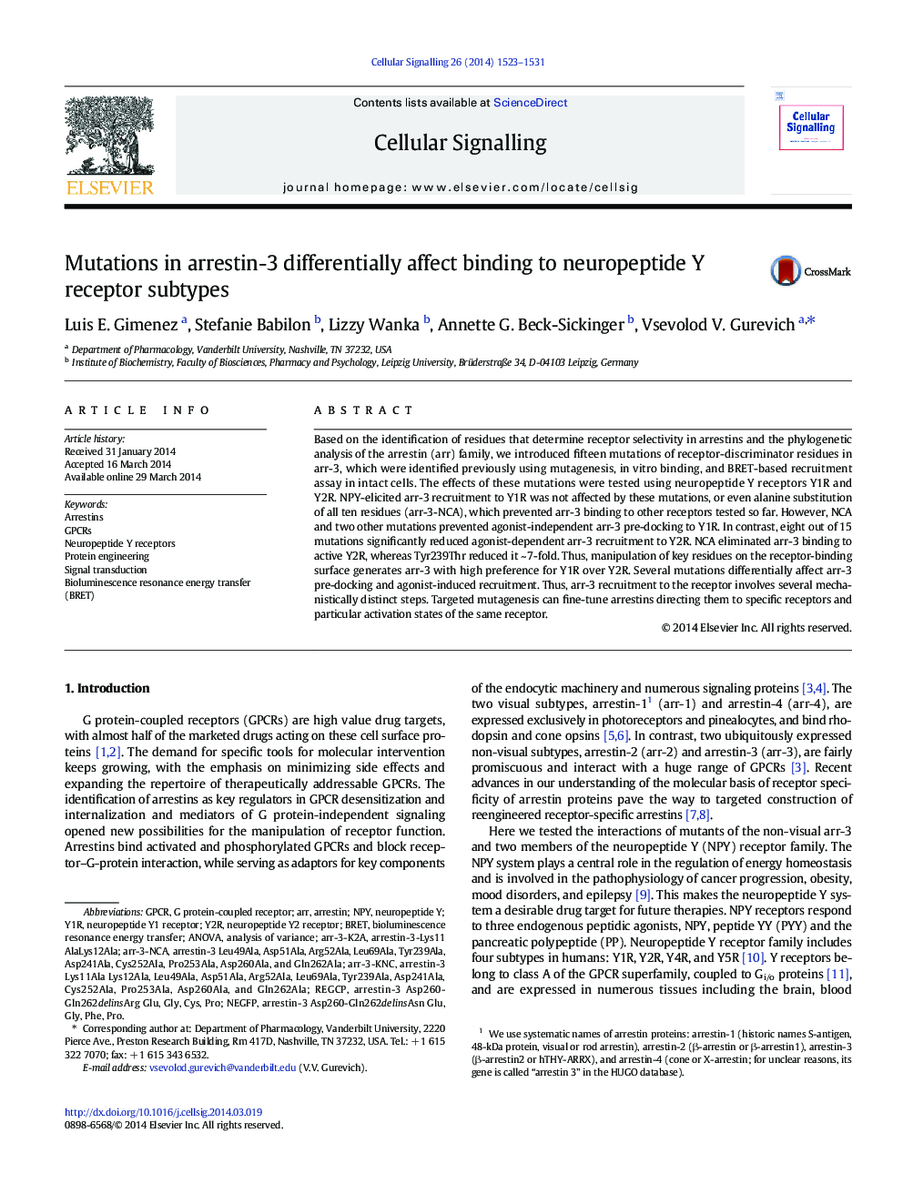 Mutations in arrestin-3 differentially affect binding to neuropeptide Y receptor subtypes