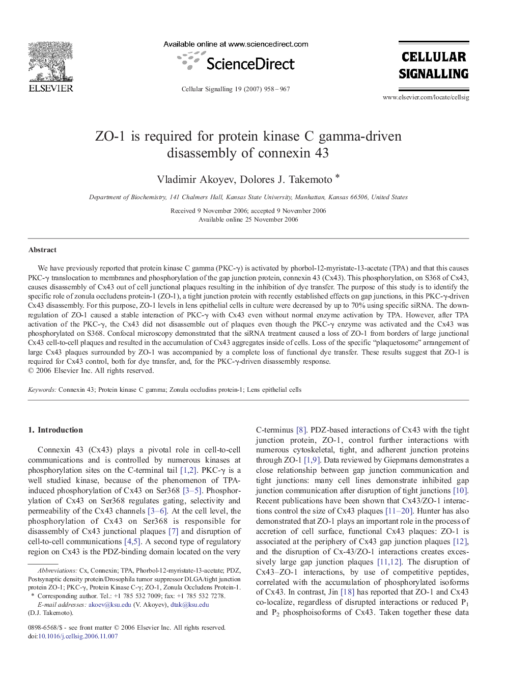 ZO-1 is required for protein kinase C gamma-driven disassembly of connexin 43