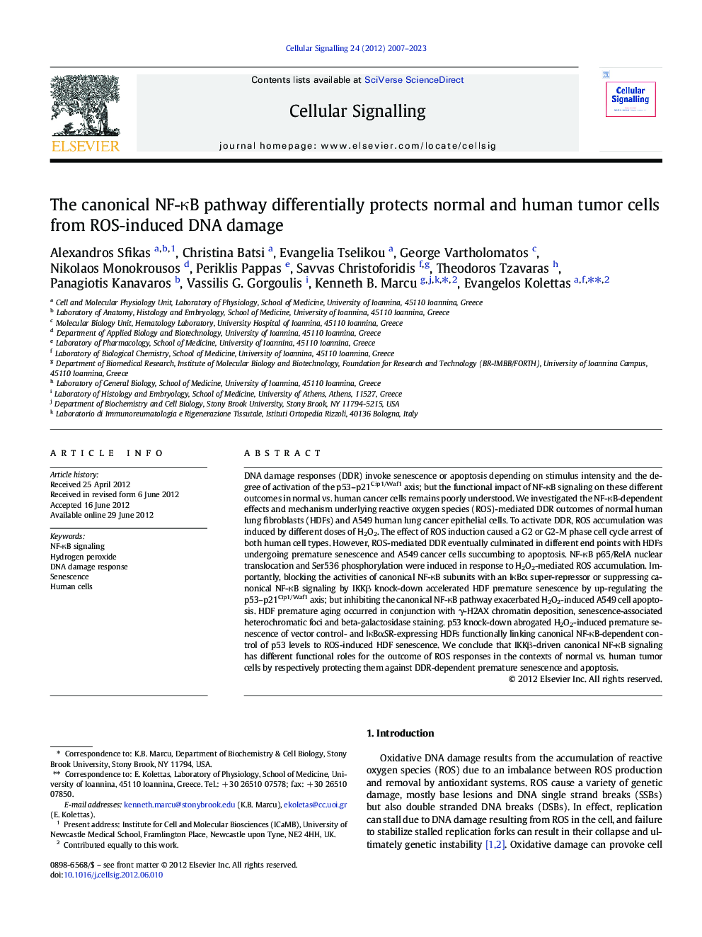 The canonical NF-ÎºB pathway differentially protects normal and human tumor cells from ROS-induced DNA damage