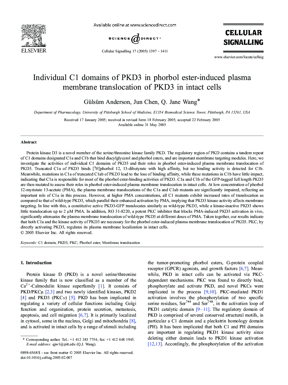 Individual C1 domains of PKD3 in phorbol ester-induced plasma membrane translocation of PKD3 in intact cells